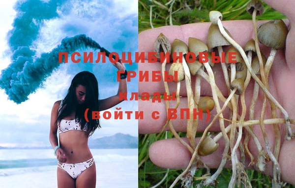 мяу мяу мука Майский