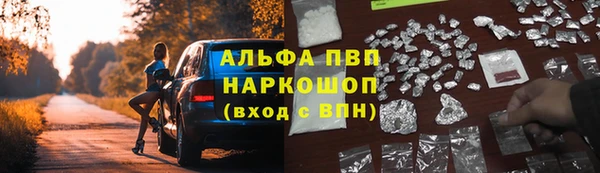 прущие крисы Магадан