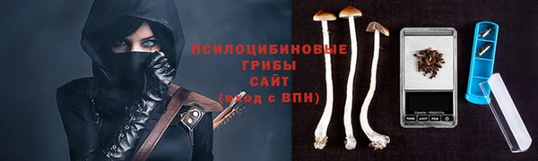 прущие крисы Магадан