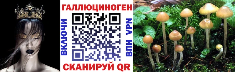 Галлюциногенные грибы Magic Shrooms  Горячеводский 